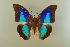  ( - AIV 060)  @15 [ ] Unspecified (default): All Rights Reserved  Unspecified Unspecified
