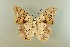  ( - AIV 060)  @15 [ ] Unspecified (default): All Rights Reserved  Unspecified Unspecified