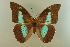  ( - AIV 062)  @14 [ ] Unspecified (default): All Rights Reserved  Unspecified Unspecified