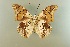  ( - AIV 063)  @14 [ ] Unspecified (default): All Rights Reserved  Unspecified Unspecified