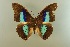  ( - AIV 064)  @11 [ ] Unspecified (default): All Rights Reserved  Unspecified Unspecified