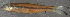  ( - 30018.02)  @13 [ ] Unspecified (default): All Rights Reserved  Unspecified Unspecified