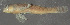  ( - 30346.01)  @12 [ ] Unspecified (default): All Rights Reserved  Unspecified Unspecified