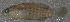  ( - 30601.01)  @12 [ ] Unspecified (default): All Rights Reserved  Unspecified Unspecified