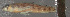  ( - 30693.01)  @13 [ ] Unspecified (default): All Rights Reserved  Unspecified Unspecified