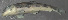  ( - 43517.03)  @12 [ ] Unspecified (default): All Rights Reserved  Unspecified Unspecified