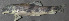  ( - 43517.04)  @12 [ ] Unspecified (default): All Rights Reserved  Unspecified Unspecified