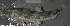  ( - 43804.01)  @12 [ ] Unspecified (default): All Rights Reserved  Unspecified Unspecified