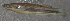  ( - 44521.02)  @12 [ ] Unspecified (default): All Rights Reserved  Unspecified Unspecified