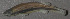  ( - 44521.04)  @12 [ ] Unspecified (default): All Rights Reserved  Unspecified Unspecified