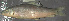  ( - 46693.01)  @12 [ ] Unspecified (default): All Rights Reserved  Unspecified Unspecified