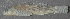  (Etheostoma podostemone - 46777.05)  @13 [ ] Unspecified (default): All Rights Reserved  Unspecified Unspecified