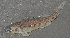  ( - 47245.02)  @13 [ ] Unspecified (default): All Rights Reserved  Unspecified Unspecified