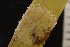  ( - ZMBN_162191)  @11 [ ] Creative Commons BY SA (2024) University of Bergen Natural History Collections