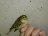  ( - K35403)  @11 [ ] CreativeCommons - Attribution Share-Alike (2023) Unspecified National Dong Hwa University