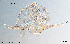  ( - To395)  @11 [ ] Creative Commons  Attribution Non-Commercial Share-Alike (2023) NTNU University Museum, Department of Natural History NTNU University Museum, Department of Natural History