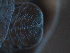  ( - Co_Lin_001)  @11 [ ] CreativeCommons  Attribution Non-Commercial Share-Alike (2023) Smithsonian Tropical Research Institute Smithsonian Tropical Research Institute