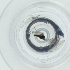  ( - NENM_027_H5)  @11 [ ] by  Genome Research Ltd as Wellcome Sanger Institute Genome Research Limited operating as Wellcome Sanger Institute