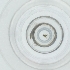  ( - NENM_037_D6)  @11 [ ] by  Genome Research Ltd as Wellcome Sanger Institute Genome Research Limited operating as Wellcome Sanger Institute