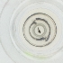  ( - NENM_057_G10)  @11 [ ] by  Genome Research Ltd as Wellcome Sanger Institute Genome Research Limited operating as Wellcome Sanger Institute