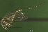  ( - NEONTculicid823)  @12 [ ] Copyright (2010) Blevins, KK and Travers, PD National Ecological Observatory Network (NEON) http://www.neoninc.org/content/copyright