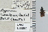  ( - NEONTcarabid4640)  @12 [ ] CreativeCommons - Attribution Non-Commercial Share-Alike (2011) Moore, W University of Arizona Insect Collection