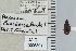  ( - NEONTcarabid4641)  @11 [ ] CreativeCommons - Attribution Non-Commercial Share-Alike (2011) Moore, W University of Arizona Insect Collection
