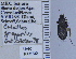  ( - NEONTcarabid4800)  @12 [ ] CreativeCommons - Attribution Non-Commercial Share-Alike (2011) Moore, W University of Arizona Insect Collection