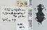  ( - NEONTcarabid4621)  @11 [ ] CreativeCommons - Attribution Non-Commercial Share-Alike (2011) Moore, W University of Arizona Insect Collection