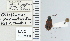  ( - NEONTcarabid4623)  @11 [ ] CreativeCommons - Attribution Non-Commercial Share-Alike (2011) Moore, W University of Arizona Insect Collection