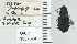  ( - NEONTcarabid4771)  @11 [ ] CreativeCommons - Attribution Non-Commercial Share-Alike (2011) Moore, W University of Arizona Insect Collection