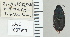 ( - NEONTcarabid4775)  @11 [ ] CreativeCommons - Attribution Non-Commercial Share-Alike (2011) Moore, W University of Arizona Insect Collection