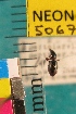  ( - NEONTcarabid5067)  @11 [ ] Copyright (2012) Blevins, KK and Travers, PD National Ecological Observatory Network (NEON) http://www.neoninc.org/content/copyright