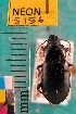  ( - NEONTcarabid5156)  @11 [ ] Copyright (2012) Blevins, KK and Travers, PD National Ecological Observatory Network (NEON) http://www.neoninc.org/content/copyright