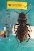  ( - NEONTcarabid5359)  @11 [ ] Copyright (2012) Blevins, KK National Ecological Observatory Network (NEON) http://www.neoninc.org/content/copyright