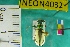 (Cicindela limbata nympha - NEONTcarabid4032)  @11 [ ] Copyright (2011) Blevins, KK and Travers, PD National Ecological Observatory Network (NEON) http://www.neoninc.org/content/copyright