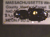  ( - NEONTcarabid1641)  @13 [ ] Copyright (2010) Blevins, KK and Travers, PD National Ecological Observatory Network (NEON) http://www.neoninc.org/content/copyright
