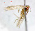 ( - RMNH.INS.23861)  @12 [ ] Unspecified (default): All Rights Reserved  Unspecified Unspecified