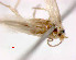  ( - RMNH.INS.23861)  @12 [ ] Unspecified (default): All Rights Reserved  Unspecified Unspecified