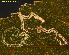  ( - RMNH.INS.31158)  @11 [ ] CreativeCommons  Attribution Non-Commercial Share-Alike (2018) Erik J. van Nieukerken-Nauturalis Naturalis Biodiversity Center