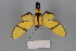  ( - FBE06013)  @11 [ ] CreativeCommons  Attribution Non-Commercial Share-Alike (2023) Brigitte Gottsberger University of Vienna, Dept of Botany and Biodiversity Research