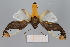  ( - FBE06015)  @11 [ ] CreativeCommons  Attribution Non-Commercial Share-Alike (2023) Brigitte Gottsberger University of Vienna, Dept of Botany and Biodiversity Research