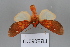  ( - FBE06019)  @11 [ ] CreativeCommons  Attribution Non-Commercial Share-Alike (2023) Brigitte Gottsberger University of Vienna, Dept of Botany and Biodiversity Research