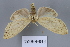  ( - FBE06024)  @11 [ ] CreativeCommons  Attribution Non-Commercial Share-Alike (2023) Brigitte Gottsberger University of Vienna, Dept of Botany and Biodiversity Research
