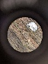  ( - M24NMF0007D4.1)  @11 [ ] by-sa (2025) Norwegian marine fungi Institute of marine research