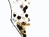  ( - M24NMF0008D2b_NMF171_Culture)  @11 [ ] by-sa (2025) Norwegian marine fungi UiT The Arctic University of Norway