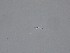  ( - M23NMF0049d_NMF212_Culture)  @11 [ ] by-sa (2025) Norwegian marine fungi UiT The Arctic University of Norway