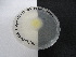  (Cladosporium - TRa2022-51A.cultD2CAA)  @11 [ ] by-sa (2023) Norwegian marine fungi UiT The Arctic University of Norway