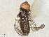  ( - BIOUG12673-G07)  @11 [ ] CreativeCommons - Attribution Share - Alike (2025) CBG Photography Group Centre for Biodiversity Genomics