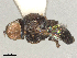  ( - BIOUG12674-B04)  @11 [ ] CreativeCommons - Attribution Share - Alike (2025) CBG Photography Group Centre for Biodiversity Genomics